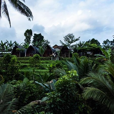 מלון Licin Omah Bapak Ijen Eco House מראה חיצוני תמונה