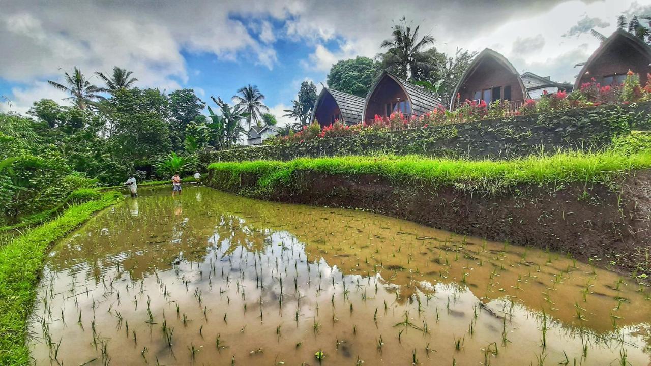 מלון Licin Omah Bapak Ijen Eco House מראה חיצוני תמונה