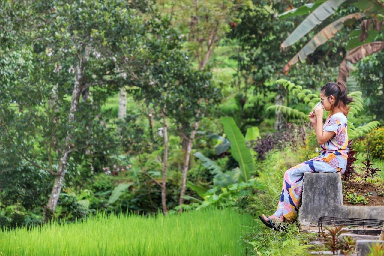 מלון Licin Omah Bapak Ijen Eco House מראה חיצוני תמונה