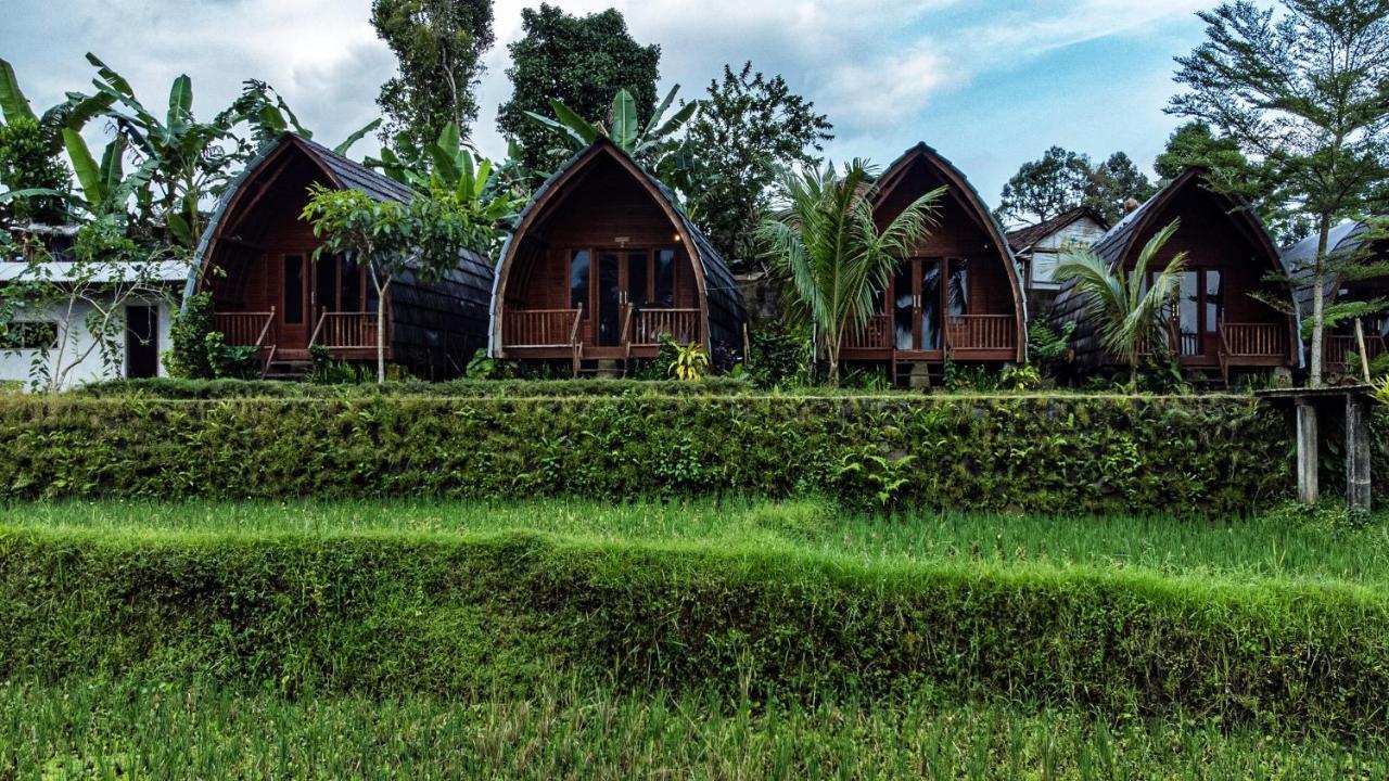 מלון Licin Omah Bapak Ijen Eco House מראה חיצוני תמונה